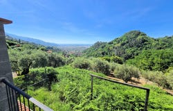 Pietrasanta, Tuscany 55045