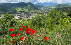 Acqualagna, Marche 61041