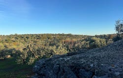 Ostuni, Apulia 72017