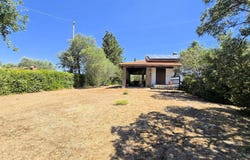 Scansano, Tuscany 58054