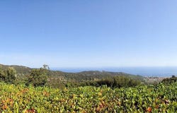 Marciana, Tuscany 57030