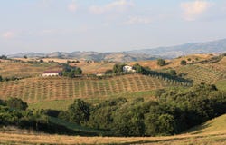Grosseto, Tuscany 58100