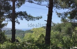 Centola, Campania