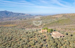 Panicale, Umbria 06064