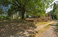 Torrita di Siena, Tuscany 53049