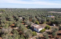 San Vito dei Normanni, Apulia 72019