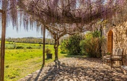 Grosseto, Tuscany 58100