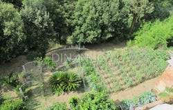 Casciana Terme, Tuscany 56034