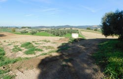 Grosseto, Tuscany 58100