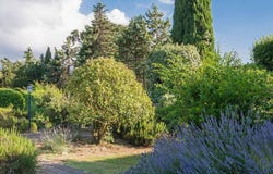 Pomarance, Tuscany 56045