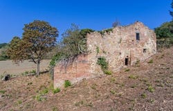 Montepulciano, Siena