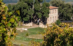 Grosseto, Tuscany 58100