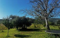 Rotella, Marche 63071