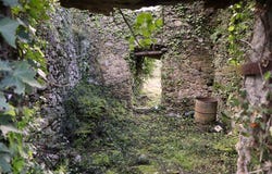 SP63, Apricale, Provincia di Imperia, Ligurië, 18035, Italië, Isolabona, Liguria 18035