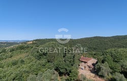 Torrita di Siena, Tuscany 53049