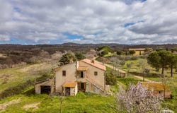 Scansano, Tuscany 58054