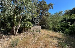 Campo nell'Elba, Tuscany 57034