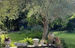Rome, Lazio 00164