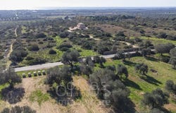 Manduria, Apulia 74024