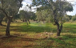 Carovigno, Apulia 72012
