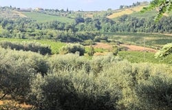 Gambassi Terme, Tuscany 50050