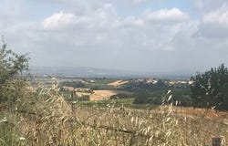 Montepulciano, Toscana|Tuscany
