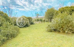 Rosignano Marittimo, Tuscany 57016