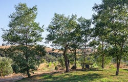 Campagnatico, Tuscany 58042