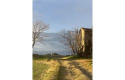 Pisa, Tuscany
