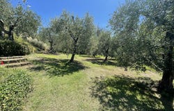 Montopoli in Val d'Arno, Tuscany 56020