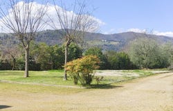 Carmignano, Tuscany 59015