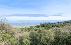 Lajatico, Tuscany 56030
