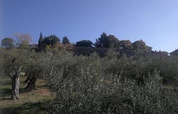 Tuoro sul Trasimeno, Umbria 06069