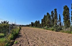Sòssu/Sorso, Tàttari/Sassari