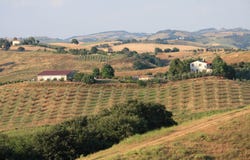 Grosseto, Tuscany 58100