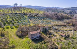 Bevagna, Umbria 06031