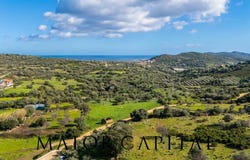 Budoni, Sardinia 08020