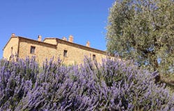 Trequanda, Tuscany 53020