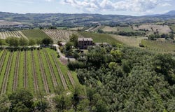 Arcevia, Marche 60011