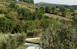 Amelia, Umbria 05022