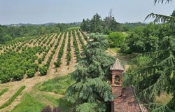 Asti, The Piedmont 14100