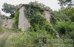 Spoleto, Umbria 06049