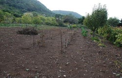 Ustica, Sicily 90010
