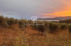 Porto Azzurro, Tuscany 57036