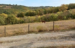 Roccalbegna, Tuscany 58053