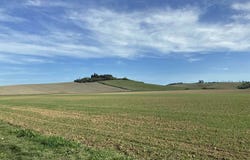 Siena, Tuscany 53100