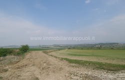 Rapolano Terme, Tuscany 53040