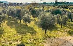 Follonica, Tuscany 58022