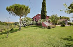 Bibbona, Tuscany 57020