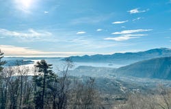 Bee, Piedmont 28813